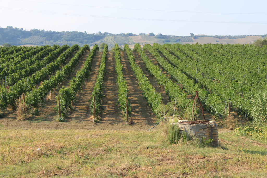 Agriturismo Rosso Di Sera